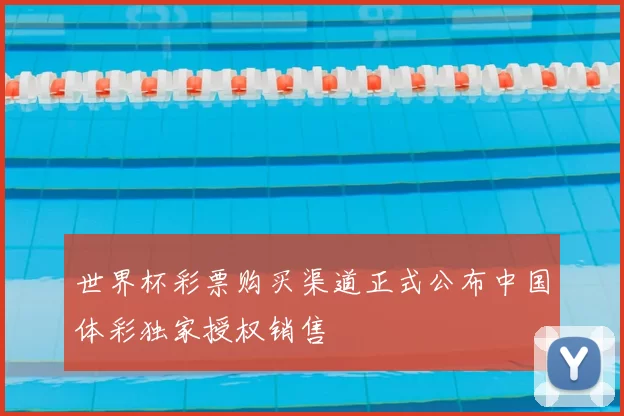 世界杯彩票购买渠道正式公布中国体彩独家授权销售