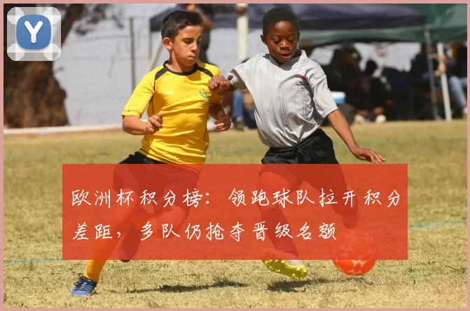 欧洲杯积分榜:领跑球队拉开积分差距,多队仍抢夺晋级名额