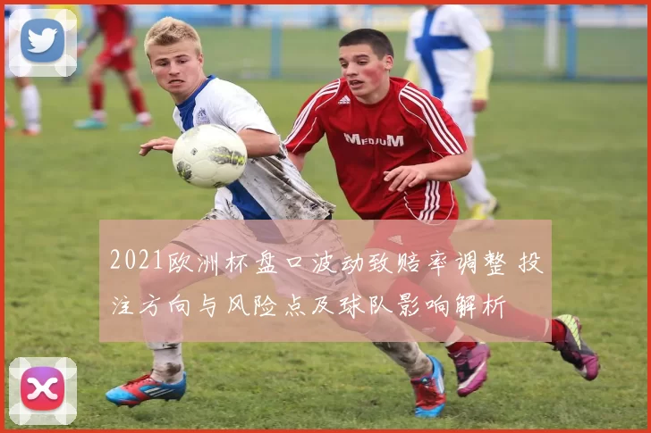 2021欧洲杯盘口波动致赔率调整 投注方向与风险点及球队影响解析