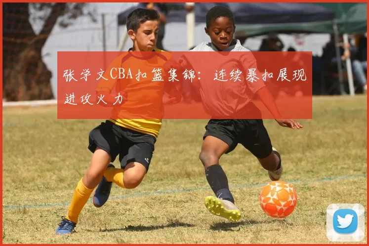 张学文CBA扣篮集锦：连续暴扣展现进攻火力