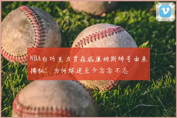 NBA白巧克力贾森威廉姆斯绰号由来揭秘：为何球迷至今念念不忘