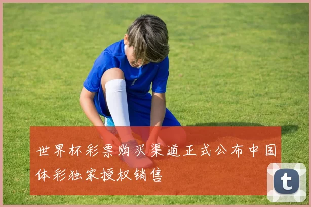 世界杯彩票购买渠道正式公布中国体彩独家授权销售