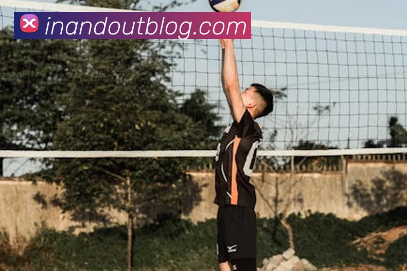 星空体育app平台生态图